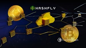 Cloud Mining HashFly